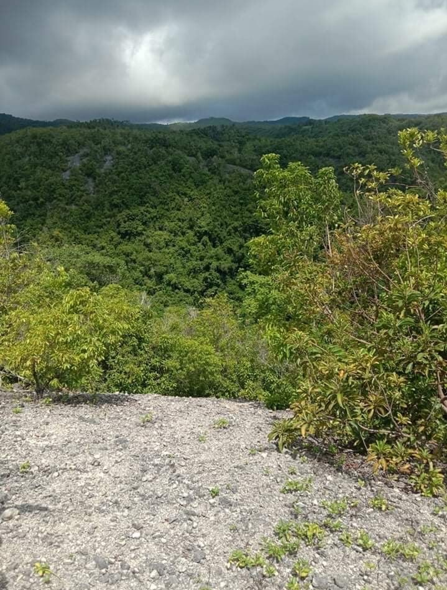 Sea View Boljoon Land