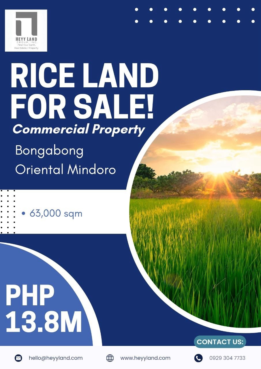 Rice Land