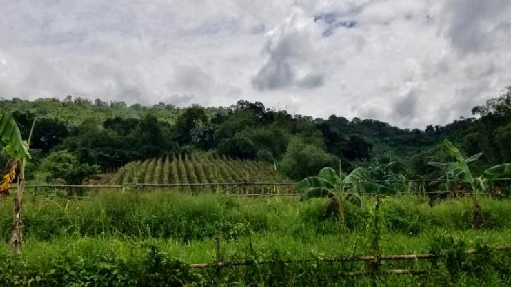 Macabud 40 Ha Land Rizal