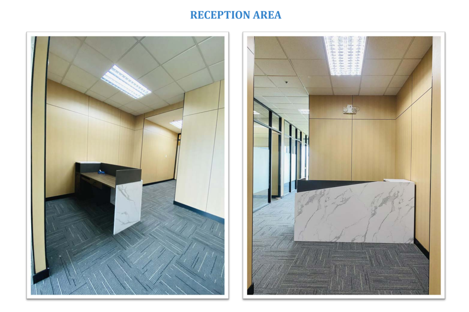 One Trium Tower Unit 803