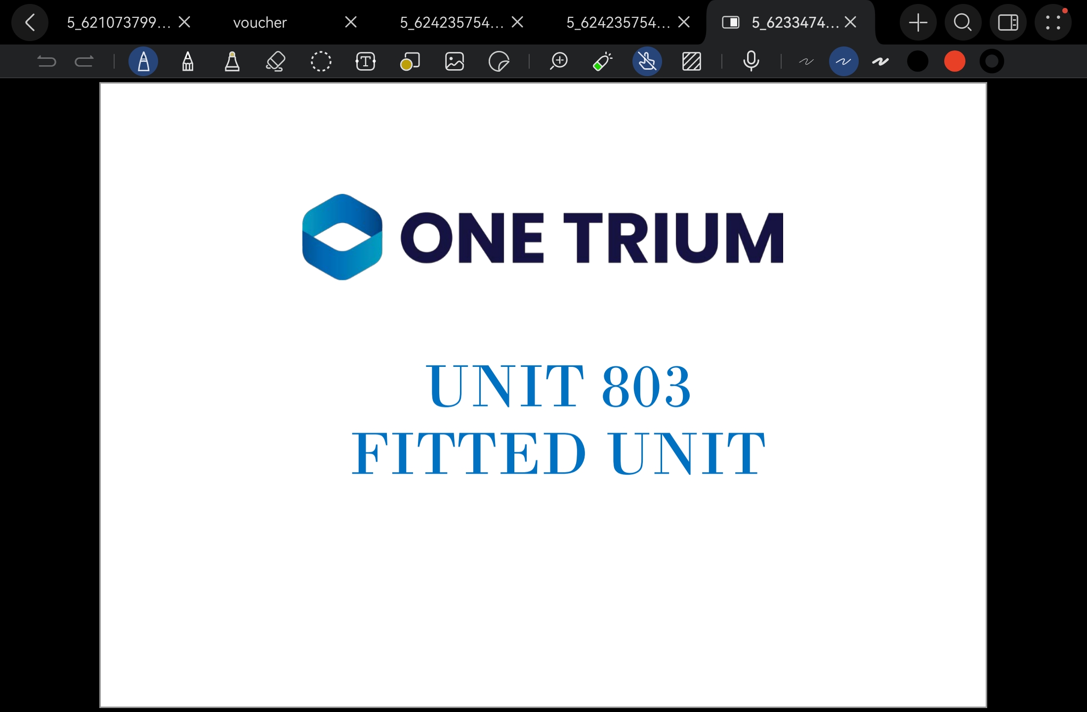 One Trium Tower Unit 803