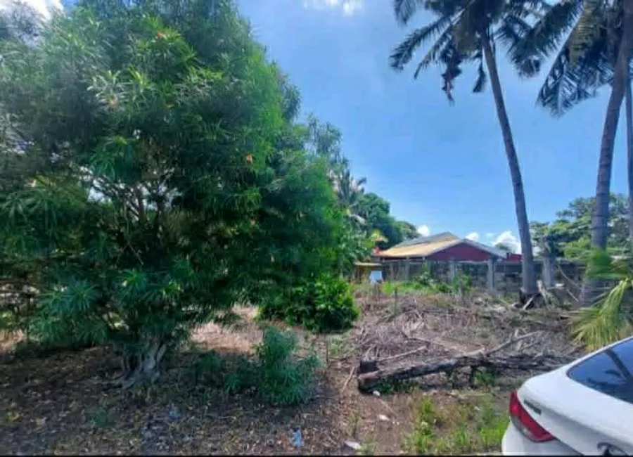RUSH SALE: Prime Residential Corner Lot Gulfview Executive Homes, Davao City