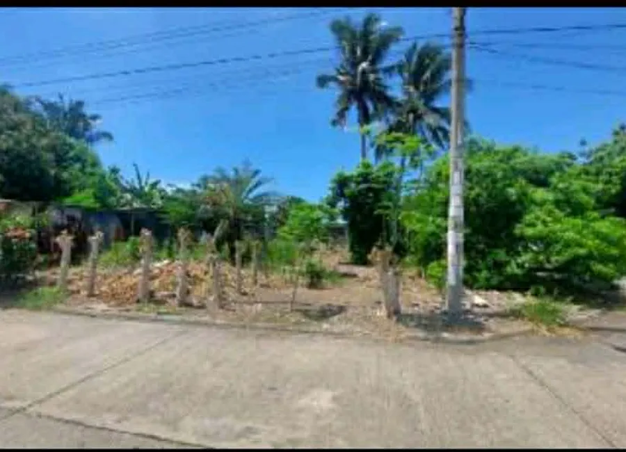 RUSH SALE: Prime Residential Corner Lot Gulfview Executive Homes, Davao City