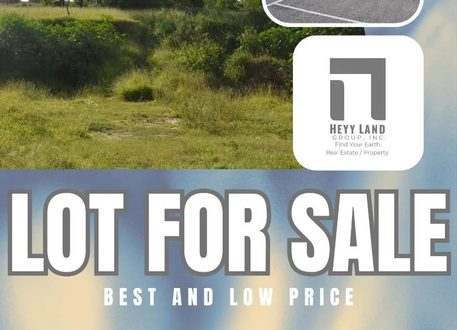 Residential Vacant Lot for Sale in Multinational Village Paranaque