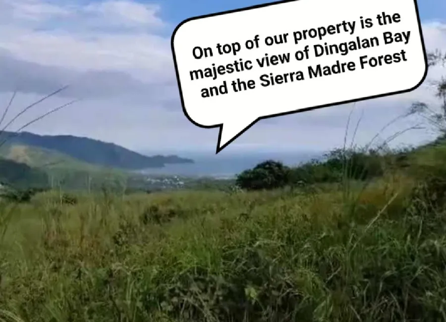 Residential Lot Dingalan Property for Sale
