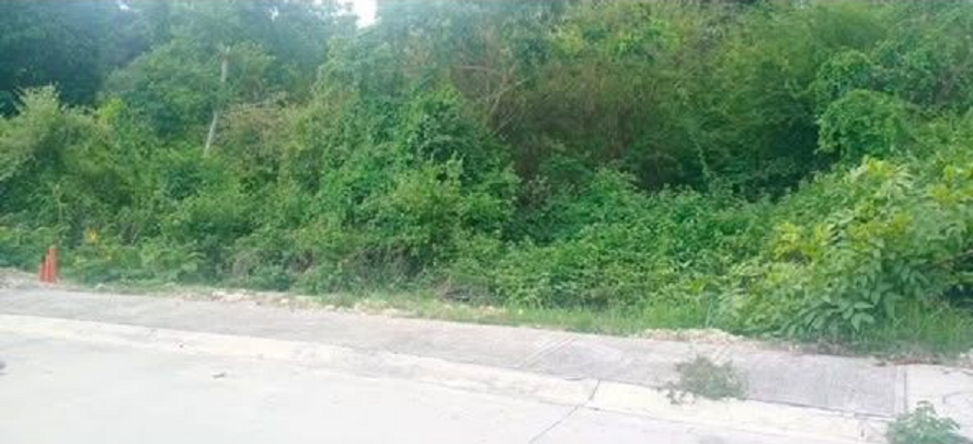 FOR SALE Playa Calatagan Residential Beach Resort Lot in BATANGAS